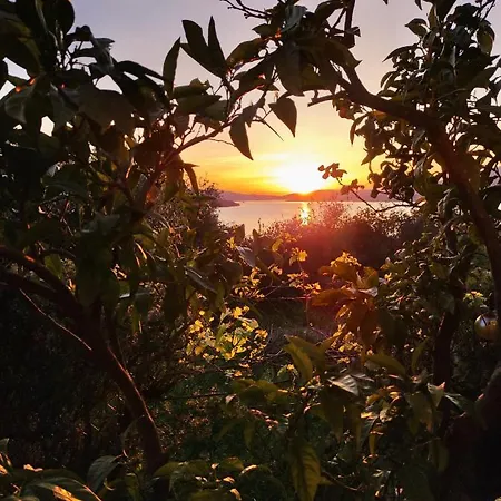 Dream View Dalmatia *