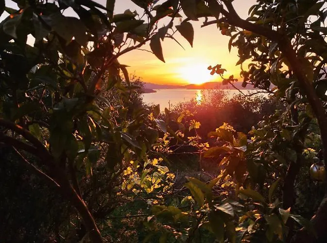 Dream View Dalmatia *